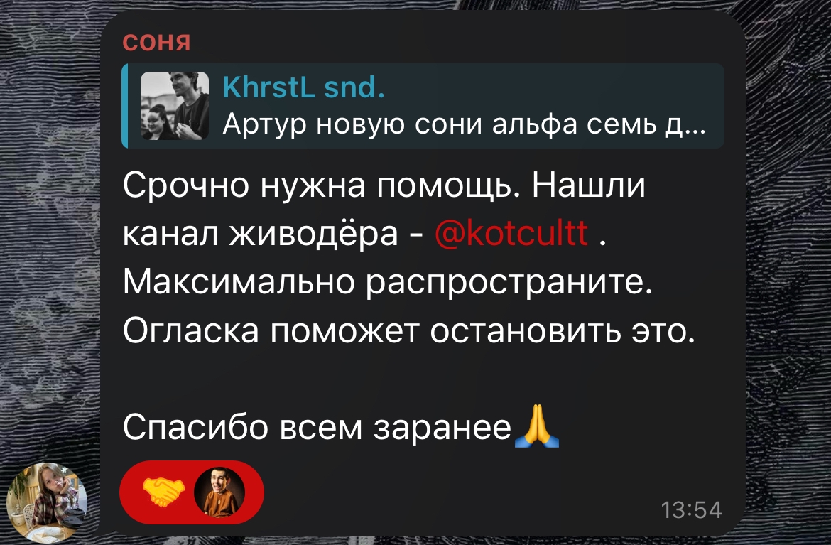 1170x767