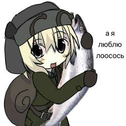 736x736