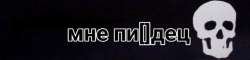 736x178