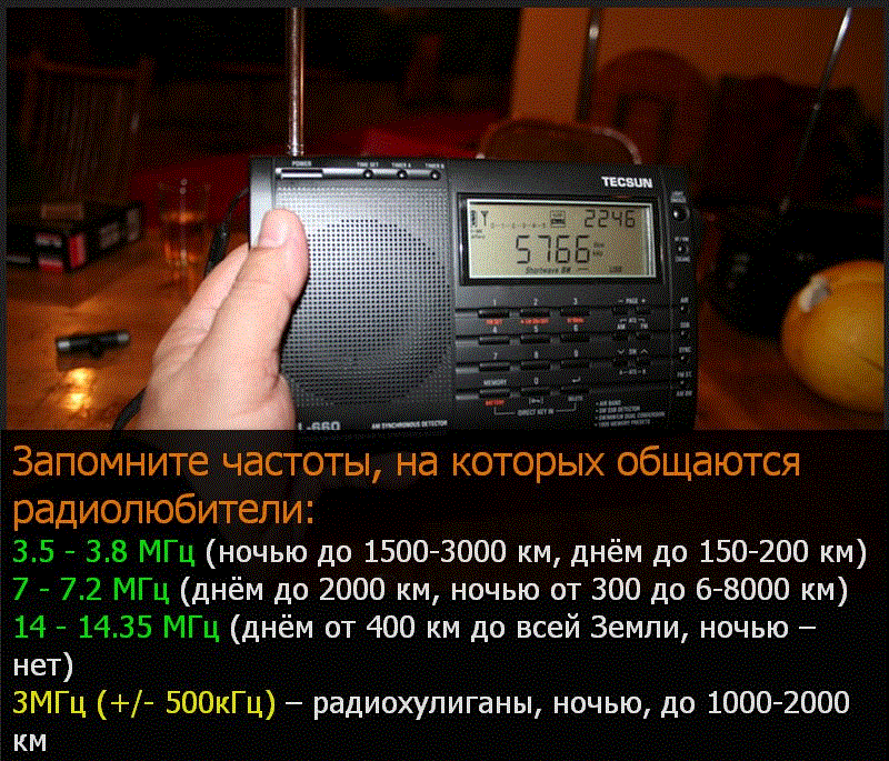 800x685