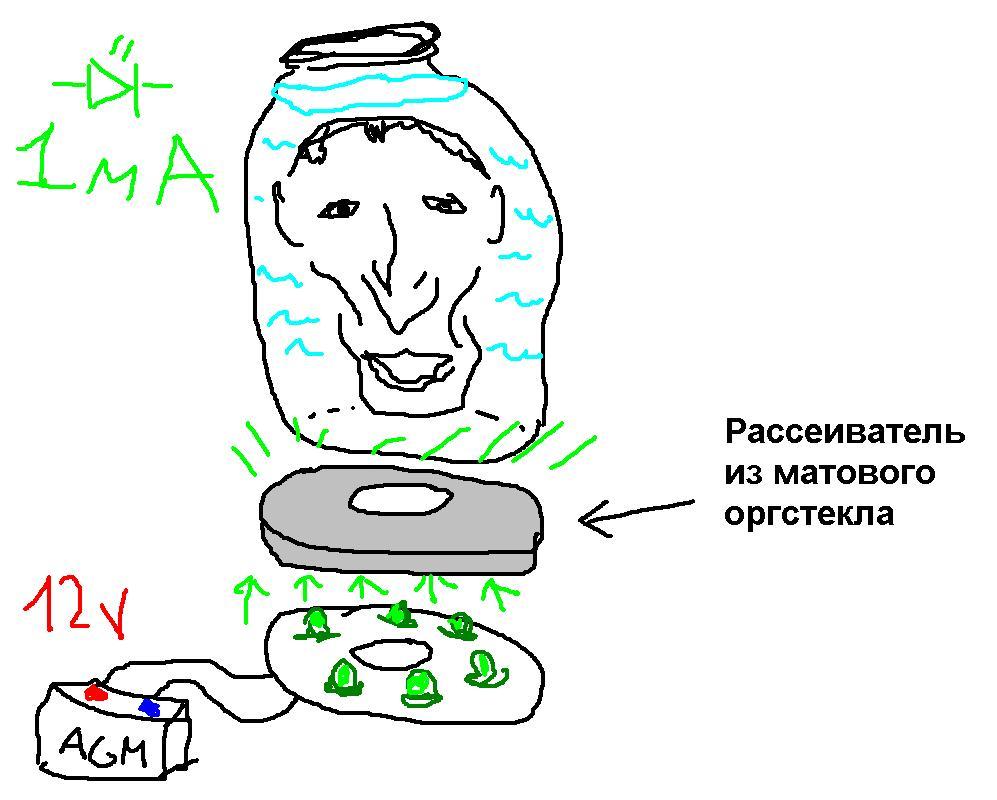 997x800