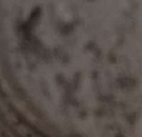 230x221