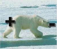 395x341