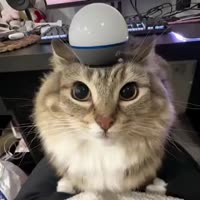320x320