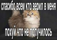 1200x861