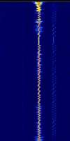 306x610