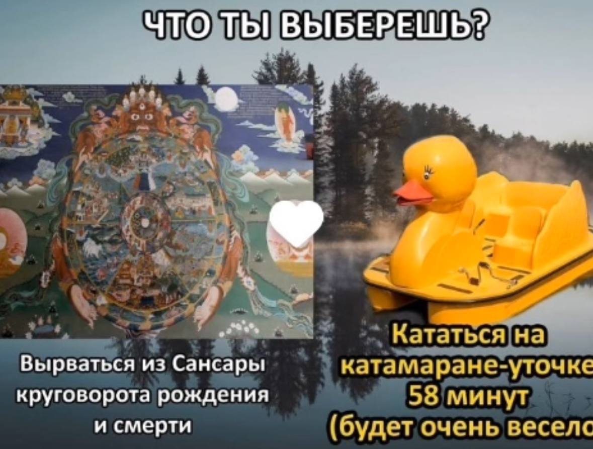 1179x893