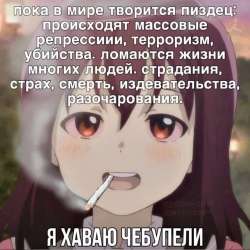 736x736