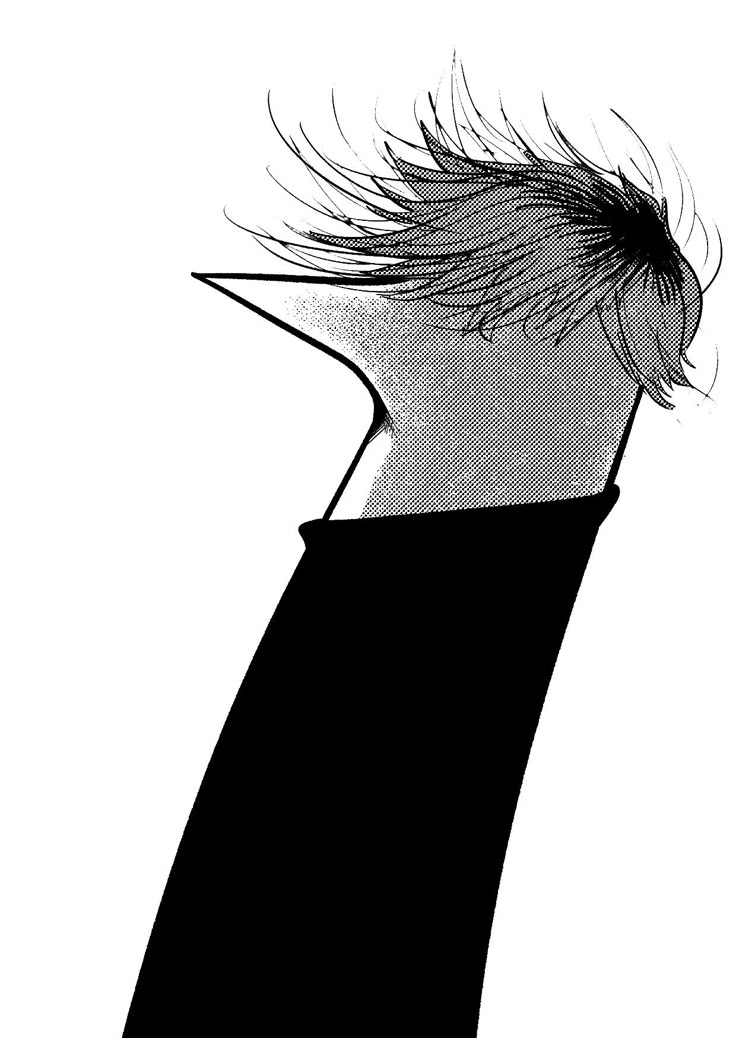 736x1038
