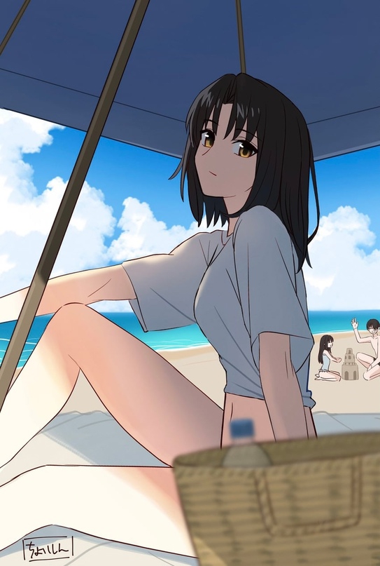 543x807