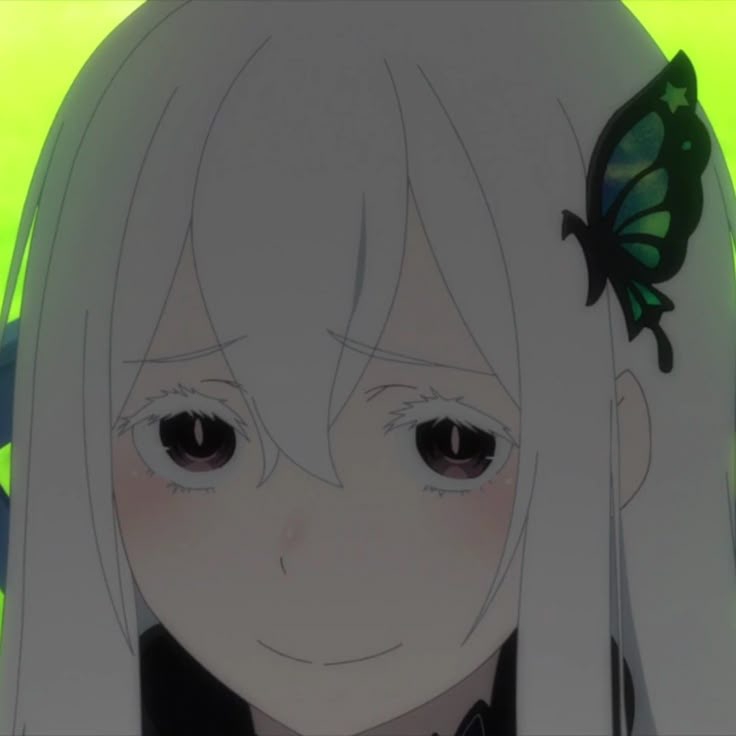736x736