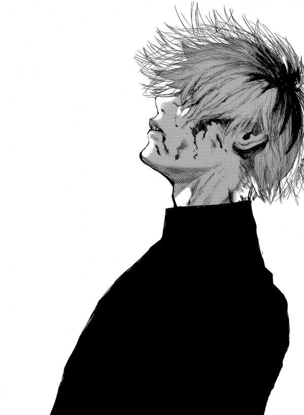 600x818