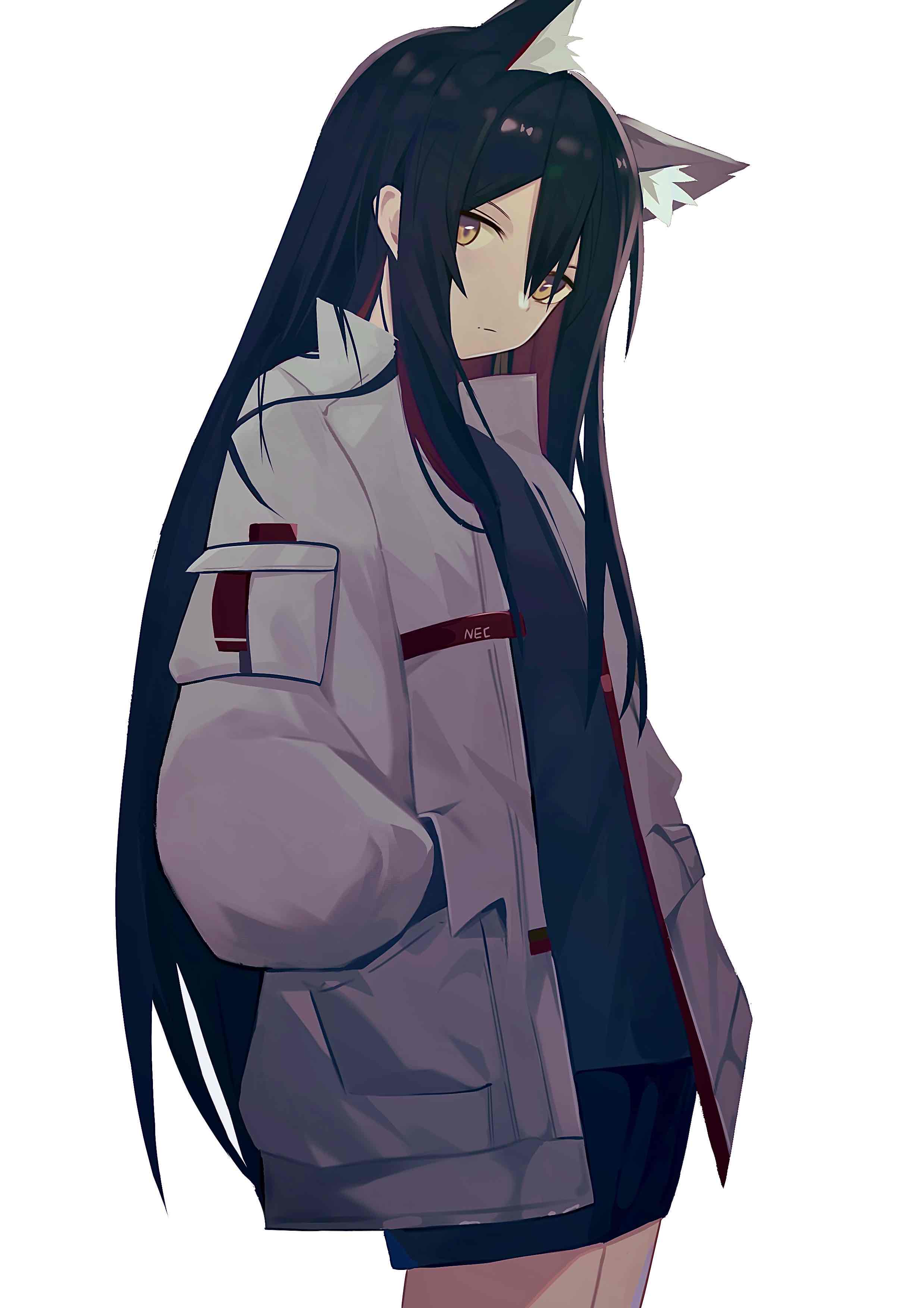 2477x3504