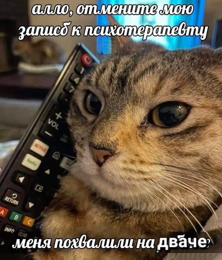 736x860