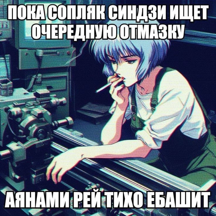 736x736