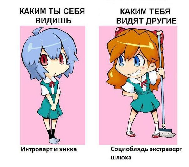604x534