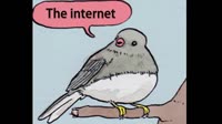 460x258