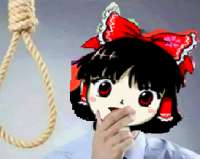 446x356