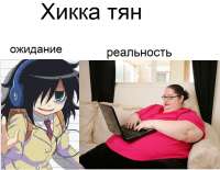 622x485