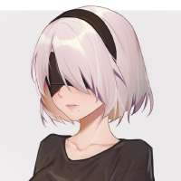 736x736