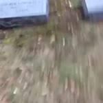 360x360
