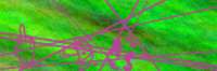300x100