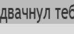 733x338