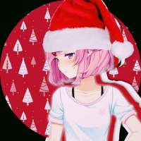 736x736