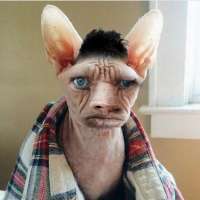 900x900
