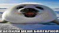 1280x720
