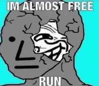 416x360