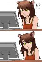 409x604