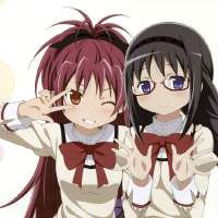 736x736