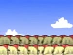 320x240