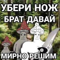 736x738