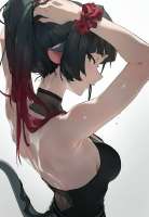 736x1066