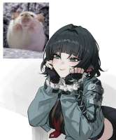 736x886