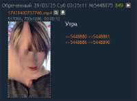360x265