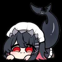 736x736