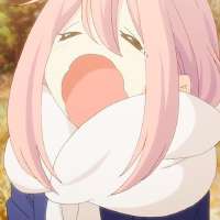 736x736