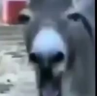 362x360