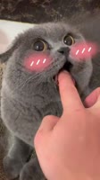 406x720