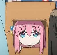 434x425