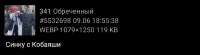 1080x300