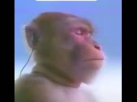 640x480