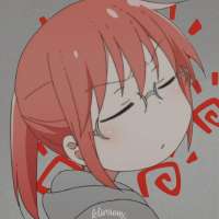 736x736
