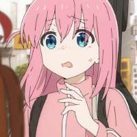 736x736