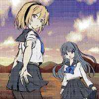 736x736