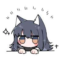 736x736