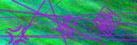 300x100